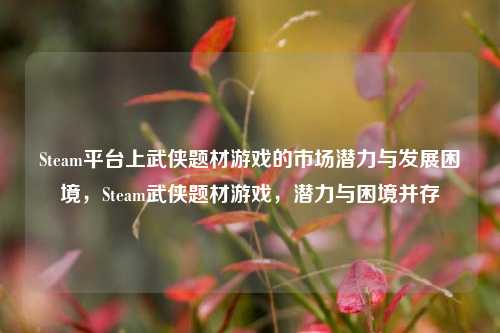 Steam平台上武侠题材游戏的市场潜力与发展困境，Steam武侠题材游戏，潜力与困境并存