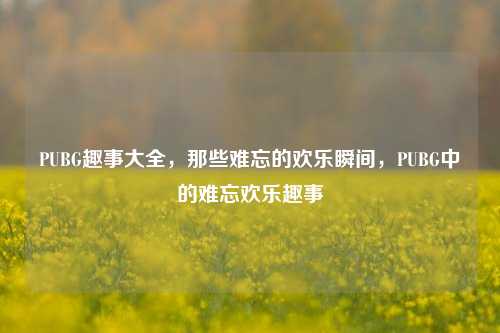 PUBG趣事大全，那些难忘的欢乐瞬间，PUBG中的难忘欢乐趣事