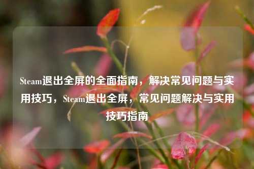 Steam退出全屏的全面指南，解决常见问题与实用技巧，Steam退出全屏，常见问题解决与实用技巧指南