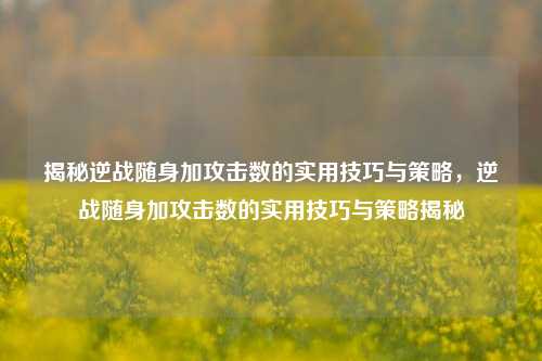 揭秘逆战随身加攻击数的实用技巧与策略，逆战随身加攻击数的实用技巧与策略揭秘