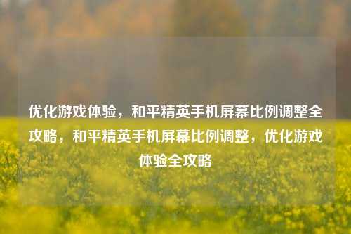 优化游戏体验，和平精英手机屏幕比例调整全攻略，和平精英手机屏幕比例调整，优化游戏体验全攻略