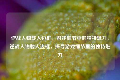 逆战人物载入边框，游戏细节中的独特魅力，逆战人物载入边框，探寻游戏细节里的独特魅力