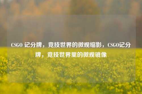 CSGO 记分牌，竞技世界的微观缩影，CSGO记分牌，竞技世界里的微观镜像