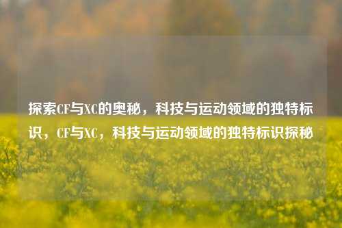 探索CF与XC的奥秘，科技与运动领域的独特标识，CF与XC，科技与运动领域的独特标识探秘
