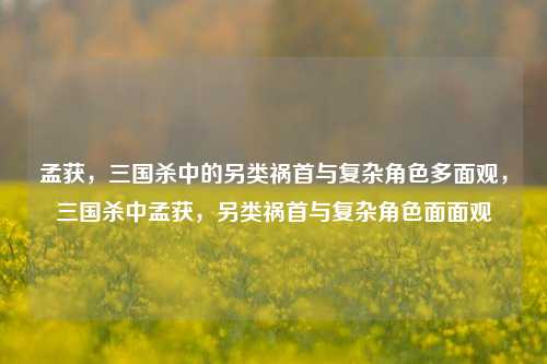 孟获，三国杀中的另类祸首与复杂角色多面观，三国杀中孟获，另类祸首与复杂角色面面观