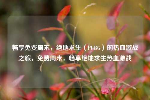 畅享免费周末，绝地求生（PUBG）的热血激战之旅，免费周末，畅享绝地求生热血激战