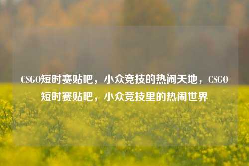 CSGO短时赛贴吧，小众竞技的热闹天地，CSGO短时赛贴吧，小众竞技里的热闹世界