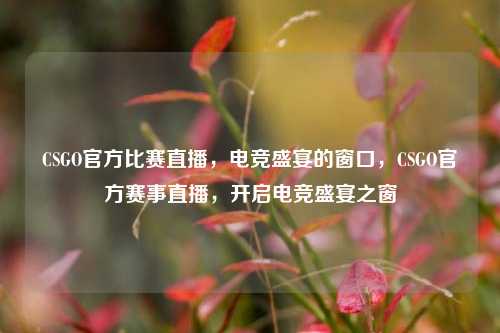 CSGO官方比赛直播，电竞盛宴的窗口，CSGO官方赛事直播，开启电竞盛宴之窗