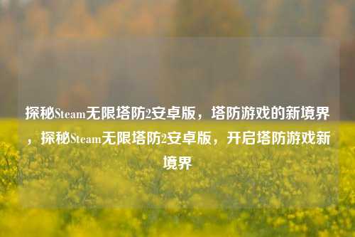 探秘Steam无限塔防2安卓版，塔防游戏的新境界，探秘Steam无限塔防2安卓版，开启塔防游戏新境界