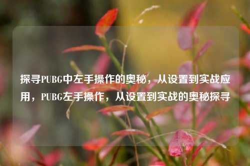 探寻PUBG中左手操作的奥秘，从设置到实战应用，PUBG左手操作，从设置到实战的奥秘探寻