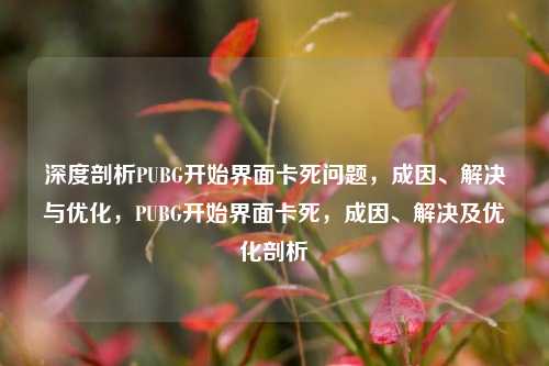 深度剖析PUBG开始界面卡死问题，成因、解决与优化，PUBG开始界面卡死，成因、解决及优化剖析