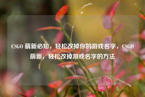 CSGO 萌新必知，轻松改掉你的游戏名字，CSGO萌新，轻松改掉游戏名字的方法