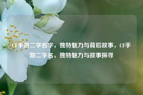 CF手游二字名字，独特魅力与背后故事，CF手游二字名，独特魅力与故事探寻