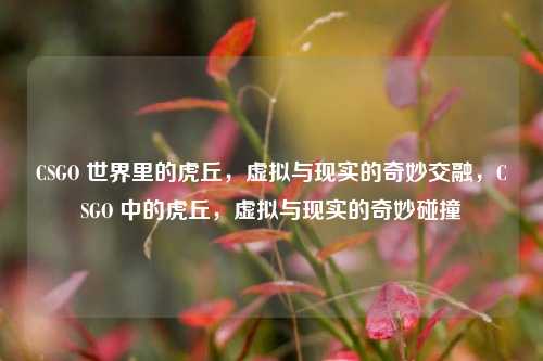 CSGO 世界里的虎丘，虚拟与现实的奇妙交融，CSGO 中的虎丘，虚拟与现实的奇妙碰撞