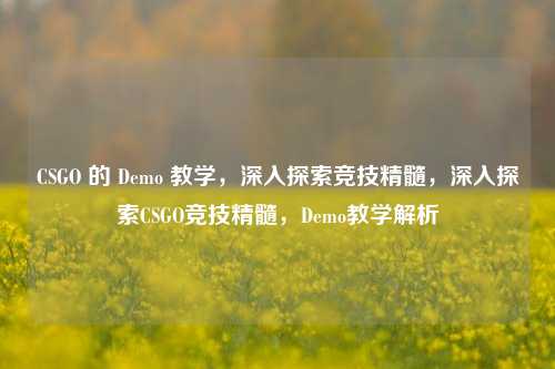 CSGO 的 Demo 教学，深入探索竞技精髓，深入探索CSGO竞技精髓，Demo教学解析