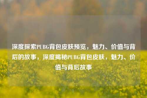 深度探索PUBG背包皮肤预览，魅力、价值与背后的故事，深度揭秘PUBG背包皮肤，魅力、价值与背后故事