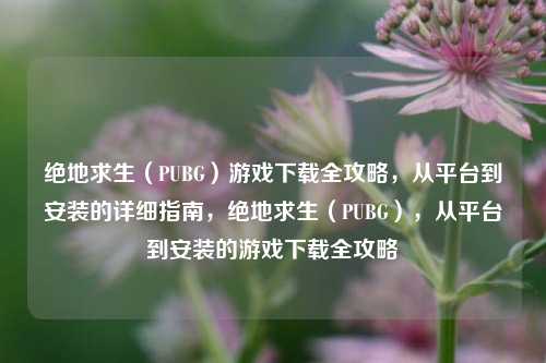 绝地求生（PUBG）游戏下载全攻略，从平台到安装的详细指南，绝地求生（PUBG），从平台到安装的游戏下载全攻略