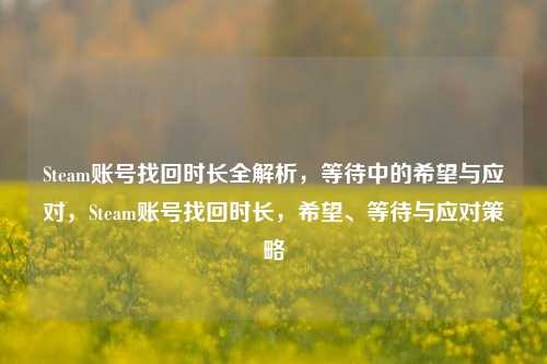Steam账号找回时长全解析，等待中的希望与应对，Steam账号找回时长，希望、等待与应对策略