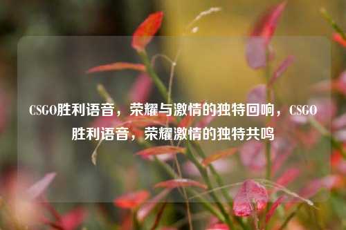 CSGO胜利语音，荣耀与激情的独特回响，CSGO胜利语音，荣耀激情的独特共鸣