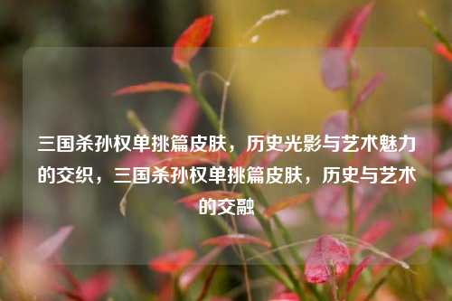 三国杀孙权单挑篇皮肤，历史光影与艺术魅力的交织，三国杀孙权单挑篇皮肤，历史与艺术的交融