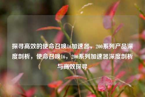 探寻高效的使命召唤16加速器，200系列产品深度剖析，使命召唤16，200系列加速器深度剖析与高效探寻