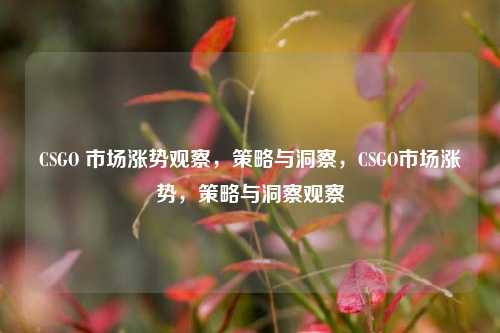 CSGO 市场涨势观察，策略与洞察，CSGO市场涨势，策略与洞察观察