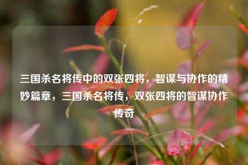 三国杀名将传中的双张四将，智谋与协作的精妙篇章，三国杀名将传，双张四将的智谋协作传奇