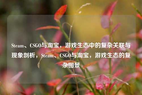Steam、CSGO与淘宝，游戏生态中的复杂关联与现象剖析，Steam、CSGO与淘宝，游戏生态的复杂图景