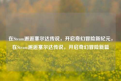 在Steam邂逅塞尔达传说，开启奇幻冒险新纪元，在Steam邂逅塞尔达传说，开启奇幻冒险新篇