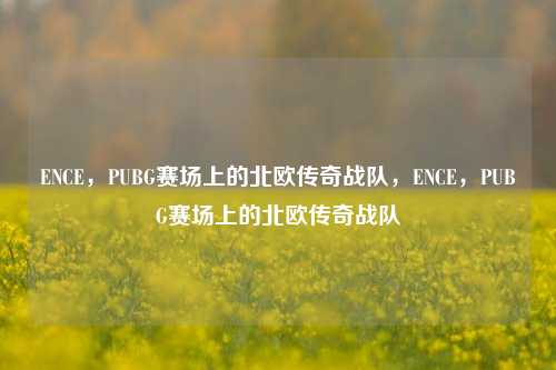 ENCE，PUBG赛场上的北欧传奇战队，ENCE，PUBG赛场上的北欧传奇战队