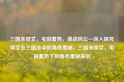 三国杀邓艾，屯田蓄势，谋战风云—深入探究邓艾在三国杀中的角色奥秘，三国杀邓艾，屯田蓄势下的角色奥秘探究