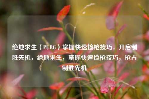 绝地求生（PUBG）掌握快速捡枪技巧，开启制胜先机，绝地求生，掌握快速捡枪技巧，抢占制胜先机