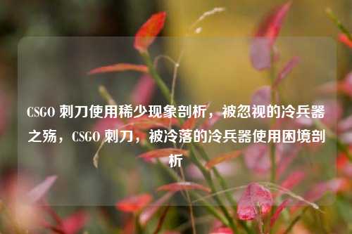 CSGO 刺刀使用稀少现象剖析，被忽视的冷兵器之殇，CSGO 刺刀，被冷落的冷兵器使用困境剖析