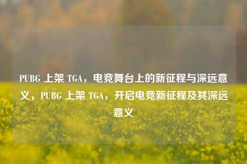 PUBG 上架 TGA，电竞舞台上的新征程与深远意义，PUBG 上架 TGA，开启电竞新征程及其深远意义