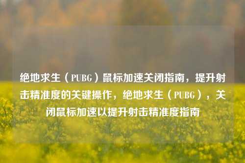 绝地求生（PUBG）鼠标加速关闭指南，提升射击精准度的关键操作，绝地求生（PUBG），关闭鼠标加速以提升射击精准度指南