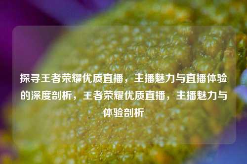 探寻王者荣耀优质直播，主播魅力与直播体验的深度剖析，王者荣耀优质直播，主播魅力与体验剖析