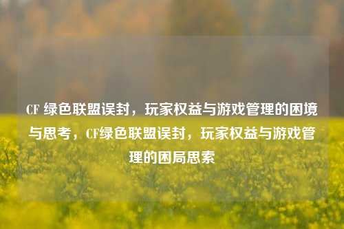 CF 绿色联盟误封，玩家权益与游戏管理的困境与思考，CF绿色联盟误封，玩家权益与游戏管理的困局思索