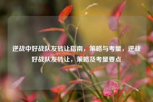 逆战中好战队友转让指南，策略与考量，逆战好战队友转让，策略及考量要点