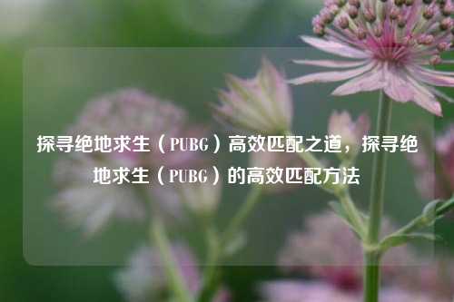 探寻绝地求生（PUBG）高效匹配之道，探寻绝地求生（PUBG）的高效匹配方法