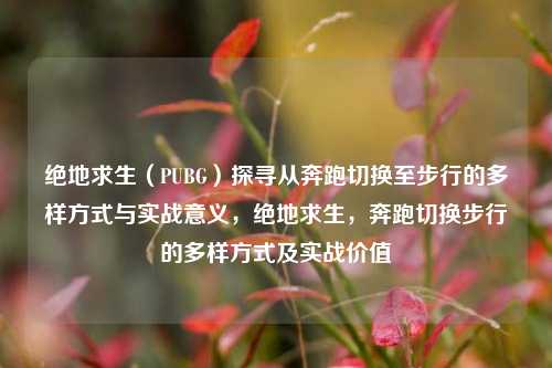 绝地求生（PUBG）探寻从奔跑切换至步行的多样方式与实战意义，绝地求生，奔跑切换步行的多样方式及实战价值