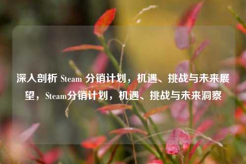 深入剖析 Steam 分销计划，机遇、挑战与未来展望，Steam分销计划，机遇、挑战与未来洞察
