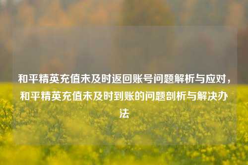 和平精英充值未及时返回账号问题解析与应对，和平精英充值未及时到账的问题剖析与解决办法