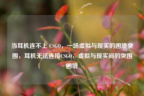 当耳机连不上 CSGO，一场虚拟与现实的困境突围，耳机无法连接CSGO，虚拟与现实间的突围困境