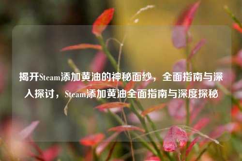揭开Steam添加黄油的神秘面纱，全面指南与深入探讨，Steam添加黄油全面指南与深度探秘
