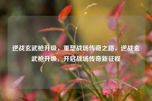 逆战玄武枪升级，重塑战场传奇之路，逆战玄武枪升级，开启战场传奇新征程