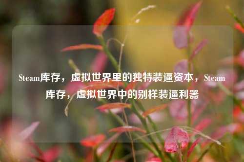 Steam库存，虚拟世界里的独特装逼资本，Steam库存，虚拟世界中的别样装逼利器