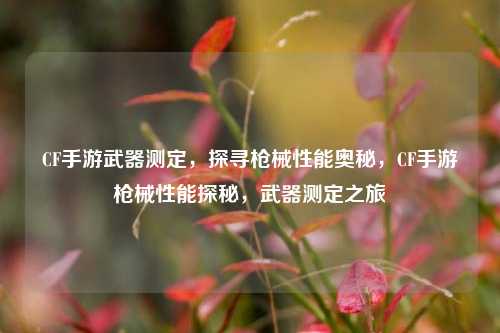 CF手游武器测定，探寻枪械性能奥秘，CF手游枪械性能探秘，武器测定之旅