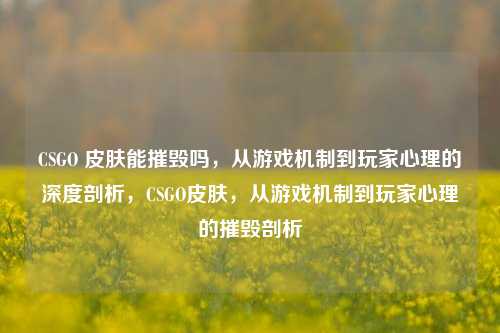 CSGO 皮肤能摧毁吗，从游戏机制到玩家心理的深度剖析，CSGO皮肤，从游戏机制到玩家心理的摧毁剖析
