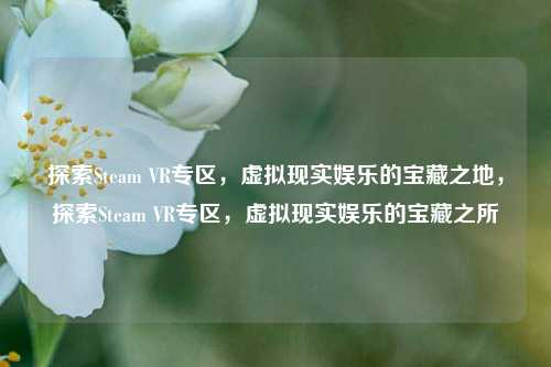 探索Steam VR专区，虚拟现实娱乐的宝藏之地，探索Steam VR专区，虚拟现实娱乐的宝藏之所