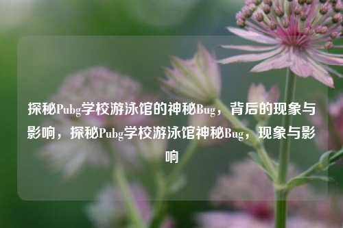 探秘Pubg学校游泳馆的神秘Bug，背后的现象与影响，探秘Pubg学校游泳馆神秘Bug，现象与影响